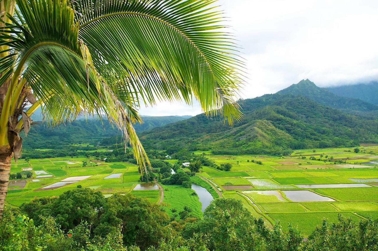 Waipouli Beach Resort Beautiful Luxury Ground Level Garden View AC Pool! Kapa'a Exterior foto